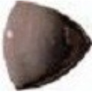 Спец. Элемент Atlas Concorde Adore Cocoa QR A/E