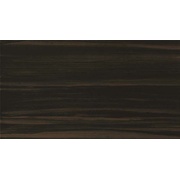 Напольная плитка Atlas Concorde Russia Aston Wood / Астон Вуд Dark Oak