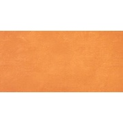 Настенная плитка Atlas Concorde Ewall Ewa. Orange 4080