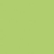 Настенная плитка Atlas Concorde Greencolors Lime