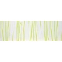 Atlas Concorde Intensity Lime Stripe