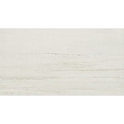 Напольная плитка Atlas Concorde Style Bianco Winter 30x60 Lappato