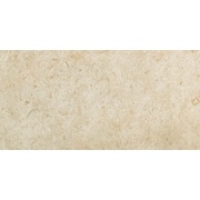 Напольная плитка Atlas Concorde Russia Supernova Marble Woodstone Champane структ.