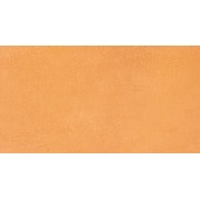 Настенная плитка Atlas Concorde View Orange