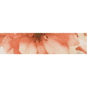 Бордюр Aurelia Ceramiche Decor Fiore Listello 4