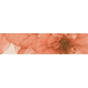 Бордюр Aurelia Ceramiche Decor Fiore Listello 5