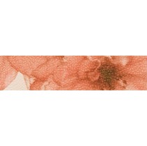 Aurelia Ceramiche Decor Fiore Listello 5