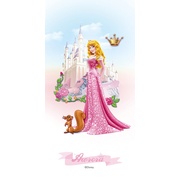 Декор Azteca Disney Princess R3060 Sleeping Beauty R3060