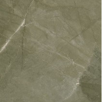 Azteca Pulpis 33 Noce
