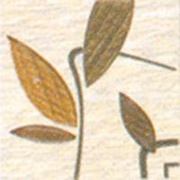 Настенная плитка Azulejo Espanol Tarima Taco. Cerezo/Haya
