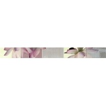 Azulejos alcor Reims Cen. Malva-Rosa