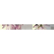 Бордюр Azulejos alcor Reims Cen. Malva-Rosa