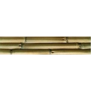 Настенная плитка Azulejos Mijares Albufera Albufera Verde