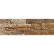 Настенная плитка Azulejos Mijares Neptuno Marron