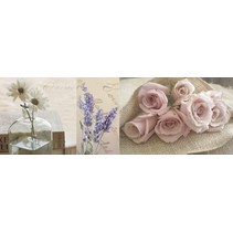 Azuliber s.l Texi Decor Romantique 03