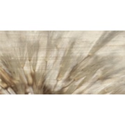 Декор Baldocer Norsk Decor Cream