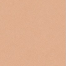 Bardelli Colore & Colore b1 Охра