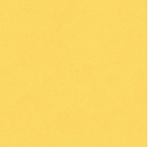 Bardelli Colore & Colore b2 Желтый