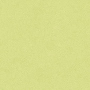 Настенная плитка Bardelli Colore & Colore b8 Салатовый-3