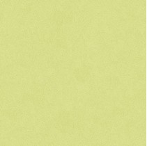 Bardelli Colore & Colore b8 Салатовый