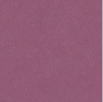 Bardelli Colore & Colore c4 Фиолетовый