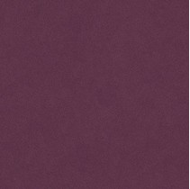 Bardelli Colore & Colore d4 Фиолетовый