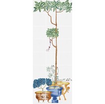 Bardelli Cuban Veranda 5 Растение В Горшке