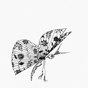 Декор Bardelli Madama Butterfly L.111 (комплект, 11 из 12)