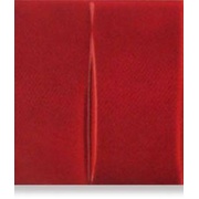 Декор Bayker Lacca Inserto Forme C Rosso