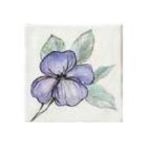 Bayker Memorie Ins. Jardin Viola Bianco