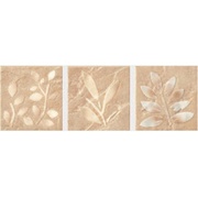 Декор Bayker Patagonia Inserto Beige Mix3