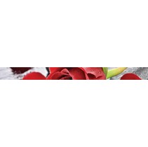 Belleza Фреш Touch стеклянный