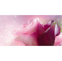 Belleza Ланком Розовый 10-05-41-619-1