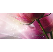 Belleza Ланком Розовый 10-05-41-619-2