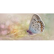 Belleza Мечта Бабочка