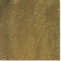 Brennero Golden eye Visone-2