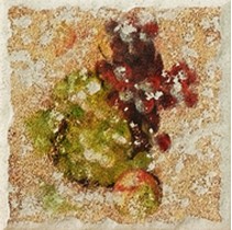 Caccia Antiqa Frutta Inserto C1