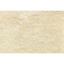 Caesar Absolute White Star