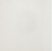 Caesar Flair7 Joy.4 75x75