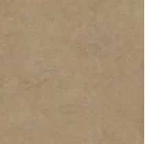 Caesar Gate Greige 75x75