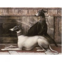 Petracer`s Grand Elegance Noblesse B B NOBLESSE B