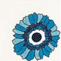 Cedir Absolute Daisy Blu Inserto 1