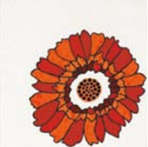 Cedir Absolute Daisy Rosso Inserto 2