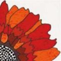 Cedir Absolute Daisy Rosso Pannello 2