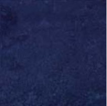 Cedir Absolute Must Blu