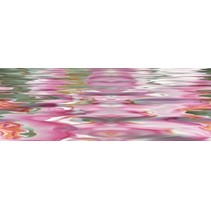 Ceracasa Brazil Sofia Cenefa Flower 10 Orchiee Brillo