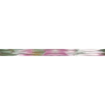 Ceracasa Brazil Sofia Listello Flower 10 Orchiee Brillo