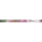 Декор Ceracasa Brazil Sofia Listello Flower 10 Orchiee Brillo