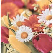 Декор Ceracasa Brazil Flowers 2 (из 3-х шт.)