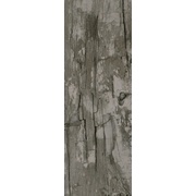 Напольная плитка Ceracasa Stonewood Dark